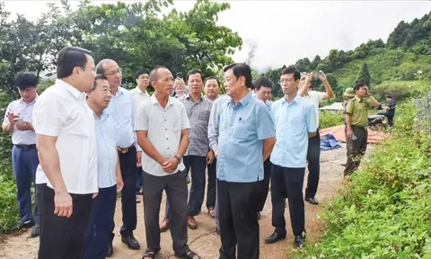 26 chủ rừng ở Nghệ An được nhận chi trả hơn 115 tỷ đồng từ ERPA