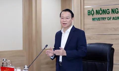 Bộ trưởng Đỗ Đức Duy chỉ đạo giải pháp dài hạn phát triển bền vững Đồng bằng sông Cửu Long