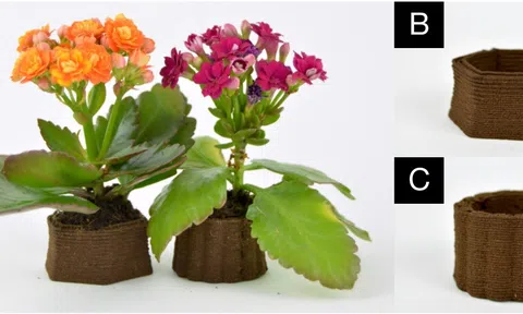 Biến bã cà phê thành tác phẩm nghệ thuật với công nghệ in 3D
