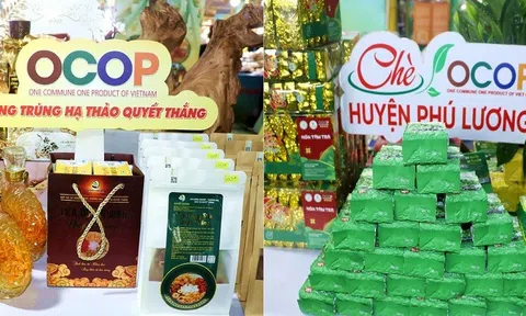 Việt Nam sắp đón 14 Bộ trưởng châu Phi đến tìm hiểu chương trình OCOP