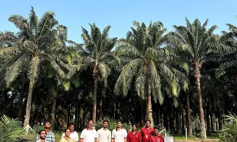 3F Oil Palm ứng dụng công nghệ drone tăng năng suất trồng cọ tại Ấn Độ