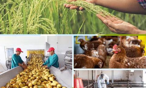 Nông nghiệp tháng 4/2025 tiếp tục phát triển ổn định