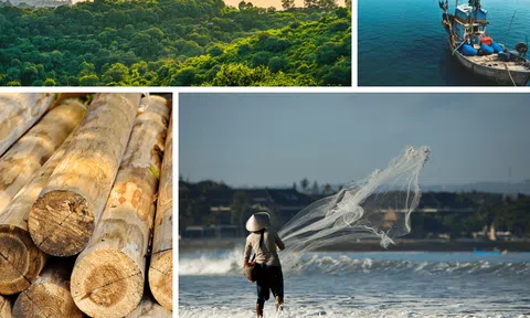 Tháng 4/2025: Thủy sản phát triển khá nhờ thời tiết thuận lợi, khai thác gỗ được đẩy mạnh