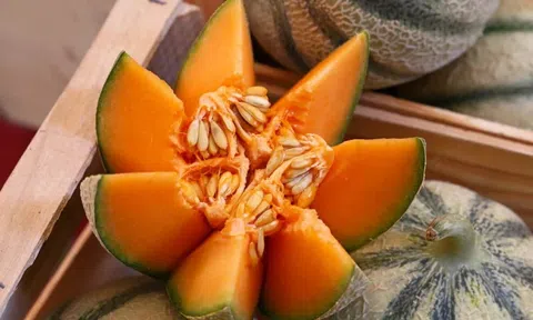 Sử dụng đất sét để tinh chế dầu hạt dưa lưới