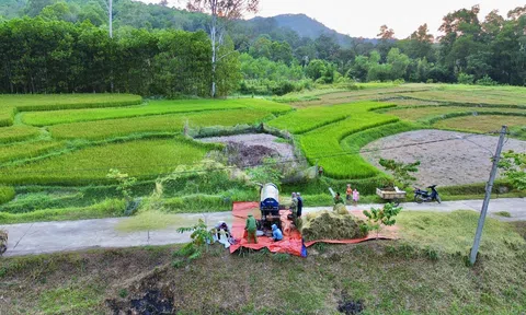 Hạn chế đốt rơm, rạ sau thu hoạch vụ mùa để đảm bảo môi trường