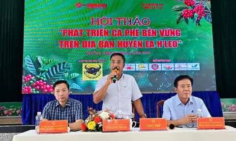 Đắk Lắk: Huyện Ea H’leo tìm giải pháp để phát triển bền vững cây cà phê