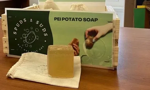 Từ khoai tây bỏ đi đến những bánh xà phòng chất lượng