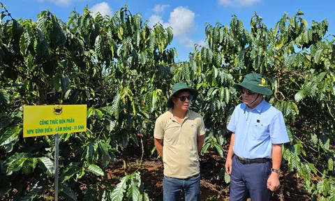 Canh tác thông minh sẽ giúp ngành cà phê khu vực Tây Nguyên vượt qua mọi thách thức