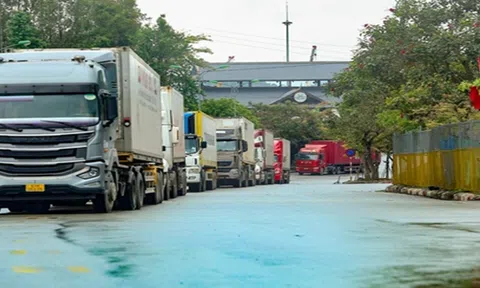 Xuất khẩu sầu riêng sang Trung Quốc gặp khó: Doanh nghiệp và nông dân cần chủ động ứng phó