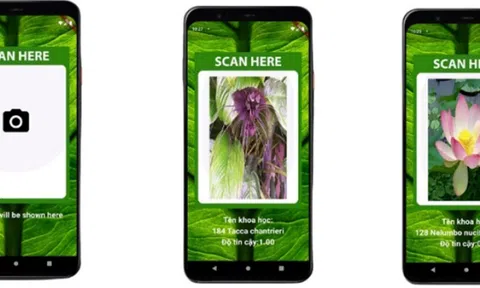 Nhận dạng cây thuốc bằng ứng dụng di động