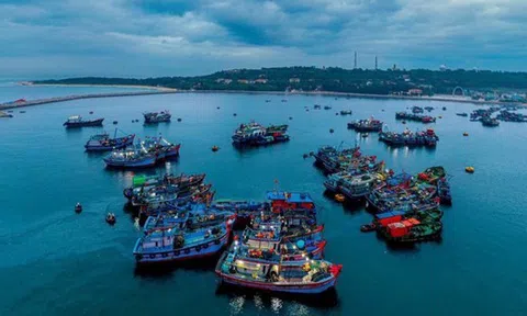 Huyện đảo Bạch Long Vĩ đạt chuẩn nông thôn mới