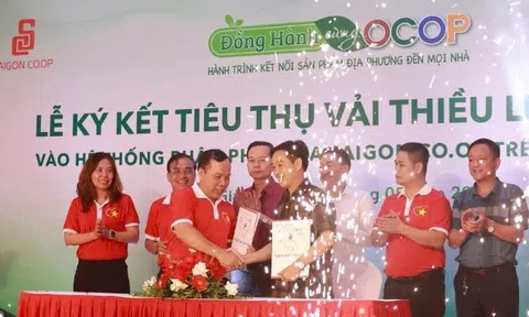 Liên hiệp Hợp tác xã Thương mại Thành phố Hồ Chí Minh ký hợp tác tiêu thụ vải thiều Lục Ngạn Bắc Giang