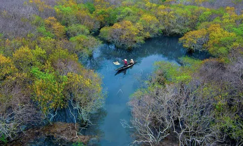 Phê duyệt Dự án “Lồng ghép chống chịu biến đổi khí hậu và bảo vệ môi trường để phát triển các đô thị xanh loại II”