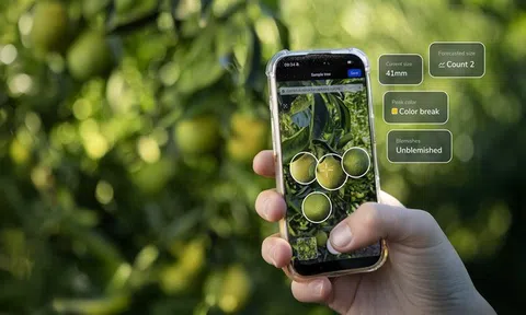 TrueFruit: Ước tính năng suất tự động bằng thiết bị nằm gọn trong lòng bàn tay