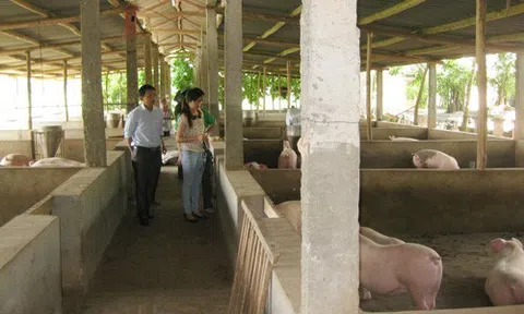 Nghiên cứu lựa chọn công nghệ phù hợp xử lý chất thải (sinh hoạt chăn nuôi) quy mô vừa và nhỏ phục vụ Chương trình xây dựng nông thôn mới vùng Bắc Trung Bộ