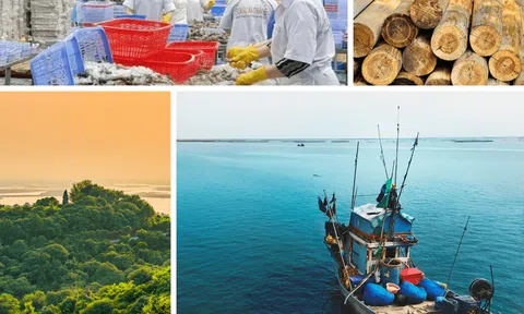 Tháng 5/2025: Ngành lâm nghiệp và thủy sản duy trì đà tăng trưởng