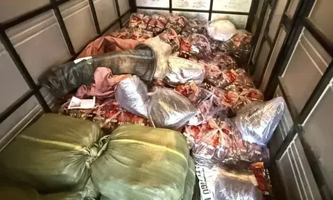 Đắk Lắk: Khởi tố hai vợ chồng sản xuất hơn 20 tấn cà phê bột giả