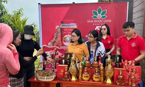 Đặc sắc phiên chợ sâm Ngọc Linh chào mừng kỷ niệm 20 năm thành lập huyện Tu Mơ Rông
