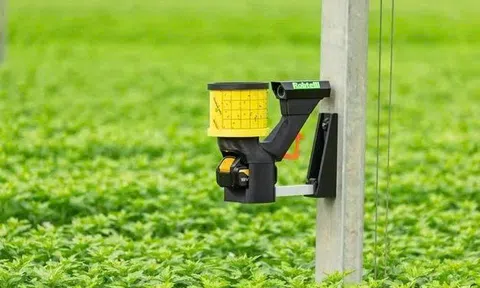 Robcam: Máy phát hiện sâu bệnh thông minh mới