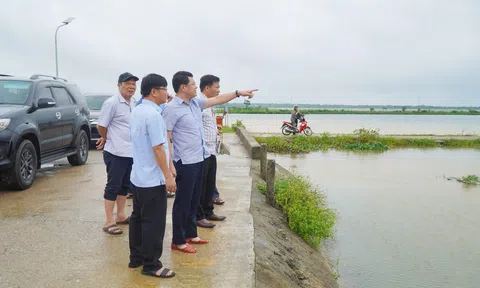 Tập trung lực lượng, phương tiện để hạn chế thấp nhất thiệt hại diện tích sản xuất nông nghiệp do ngập úng