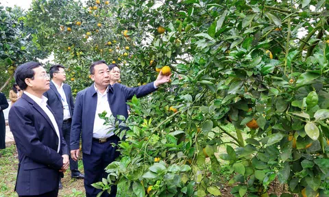 Chuyển đổi số trong nông nghiệp: Nền tảng xây dựng nông thôn mới thông minh tỉnh Nghệ An