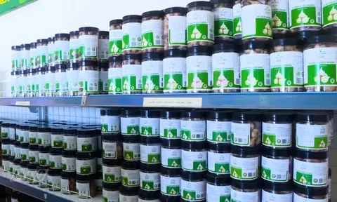 Công bố 47 sản phẩm OCOP 5 sao mới