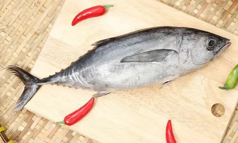 Xuất khẩu cá ngừ tăng tốc trở lại trong tháng 5/2025