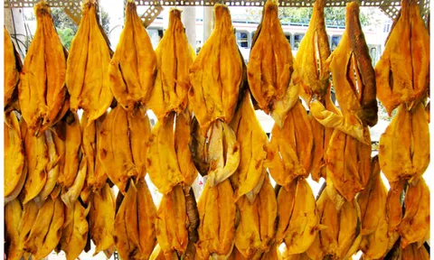 Kéo dài thời gian bảo quản cá tra khô bằng quercetin và tinh dầu ớt