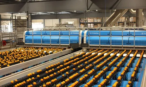 Áp dụng công nghệ học sâu LUCAi™ trong phân loại trái cây