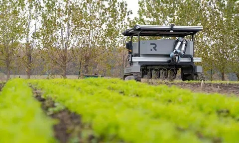 Robot điện tự động mới sẽ giải quyết nhiều nhiệm vụ trên cánh đồng