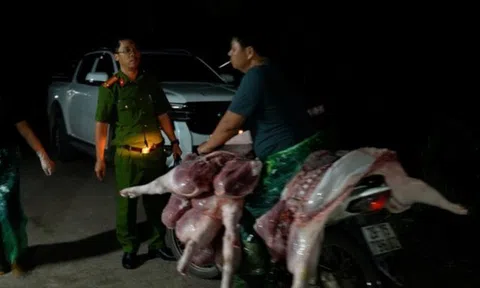 Công an Hà Nội triệt phá đường dây giết mổ tiêu thụ thịt bệnh ra thị trường