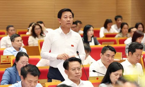 Cần tăng quản lý của chính quyền địa phương vào sản xuất rau an toàn