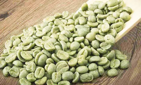 Chiết xuất hoạt chất giảm cân từ cà phê xanh