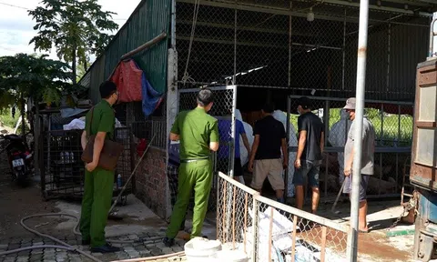 Quảng Ngãi: Phát hiện cơ sở thu mua, vận chuyển lợn dịch bán ra thị trường