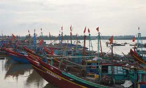 Cấm các loại tàu thuyền và phương tiện vận tải ra khơi từ 05 giờ, ngày 21/7/2025