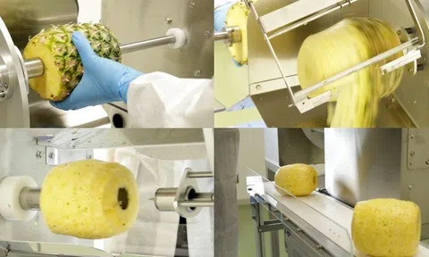 Ra mắt máy gọt vỏ và khoét lõi dứa FAP-3000 vào tháng 10