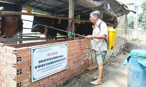 Ứng dụng chiết xuất cây đom đóm vào nông nghiệp an toàn