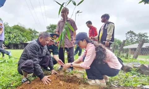 Những cây tre mang sứ mệnh bảo vệ môi trường, thắt chặt tình hữu nghị nơi biên giới Việt - Lào