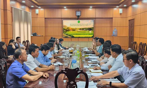 Xây dựng hệ sinh thái nông nghiệp thông minh và bền vững tại Cà Mau