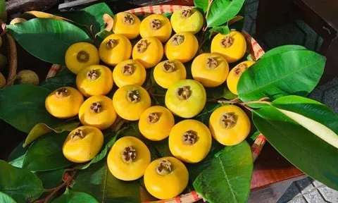 Thấy thị như thể mùa thu đã về