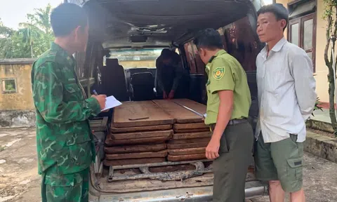 TP Huế: Bắt giữ vụ vận chuyển 16 phách gỗ trái phép