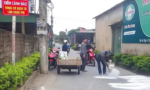 Hà Tĩnh triển khai đồng bộ các biện pháp khẩn cấp phòng, chống dịch bệnh trên đàn vật nuôi
