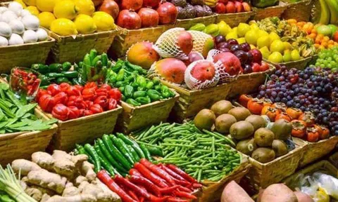 Phát triển bền vững xuất khẩu hàng nông sản Việt Nam trong bối cảnh bảo hộ thương mại