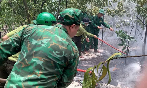 Bộ đội Biên phòng TP Huế kịp thời dập tắt đám cháy rừng tại xã Phú Vinh