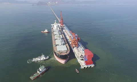 Nghệ An: Con số ấn tượng 7 tháng 2025 xuất siêu hơn 350 triệu USD