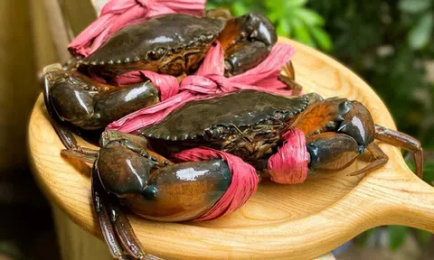 Xuất khẩu cua ghẹ Việt Nam lập đỉnh, tăng trưởng mạnh nhưng thiếu ổn định