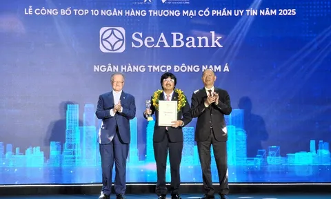 Top 10 Ngân hàng thương mại tư nhân uy tín tiếp tục gọi tên SeABank