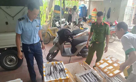 Thanh Hóa: Tiêu hủy hơn 1 tấn thực phẩm bốc mùi hôi thối