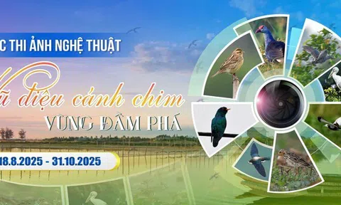 Vũ điệu cánh chim vùng đầm phá - sân chơi nghệ thuật sáng tạo cho các nhiếp ảnh gia