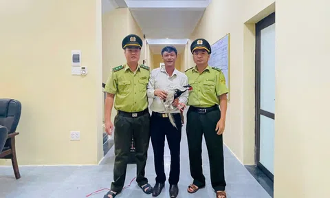 Bắt được gà lôi trắng ở công viên nước, người đàn ông ở TP Huế bàn giao cho lực lượng chức năng